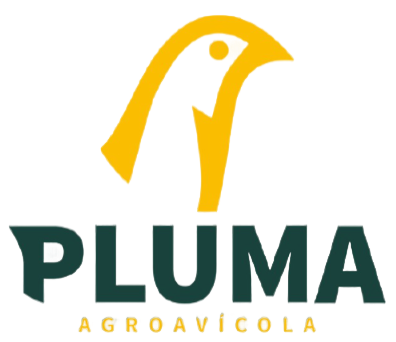 Pluma